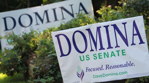 Signs promoting either Democratic candidate Dave Domina or Republican and Tea Party Conservative Ben Sasse are strewn throughout lawns within the city. The Nebraska Senate election will take place Nov. 4. 