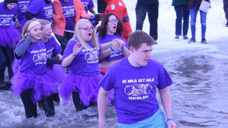 CHS Polar Plunge club braves cold water to raise money for Special Olympics