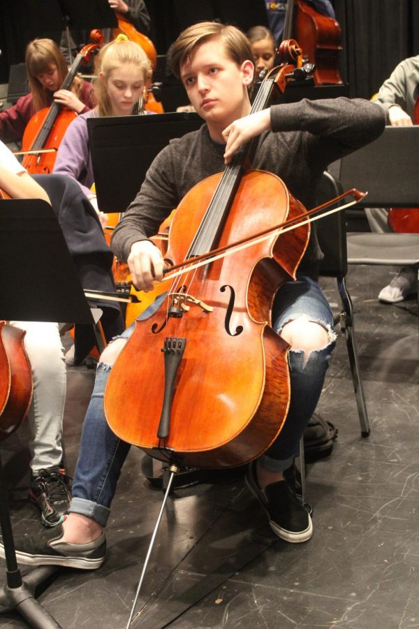 Eli Kopp Cellist