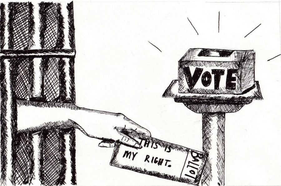 Voting Cartoon