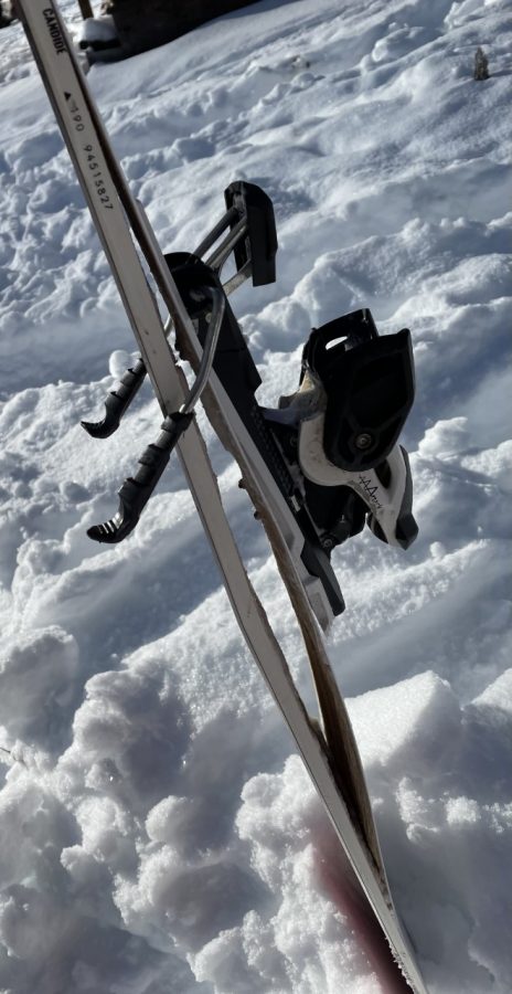 New Faction ski lacks durability
