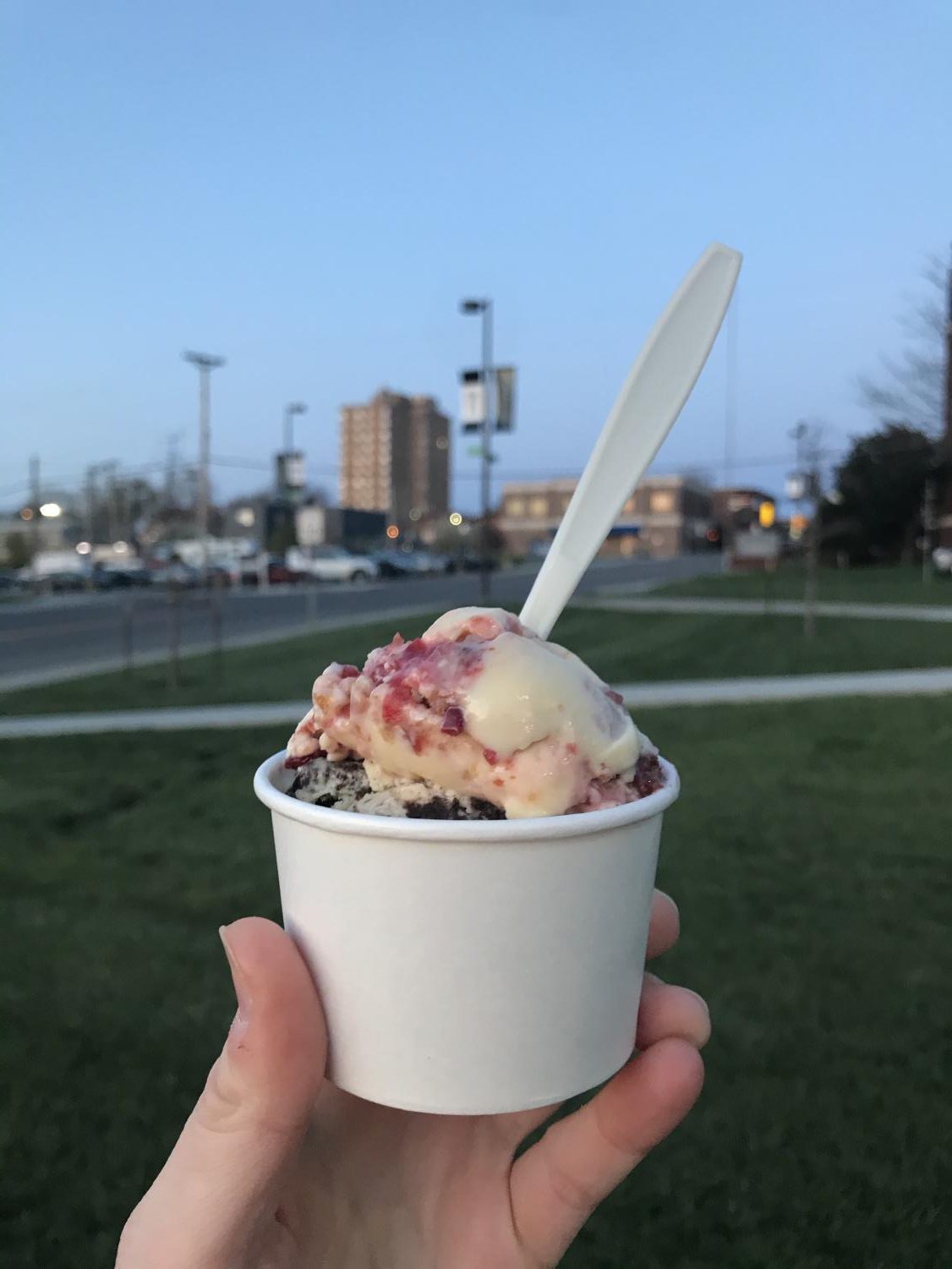 Coneflower creamery clearance