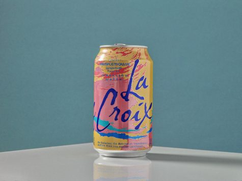 La Croix subjectively the worst drink