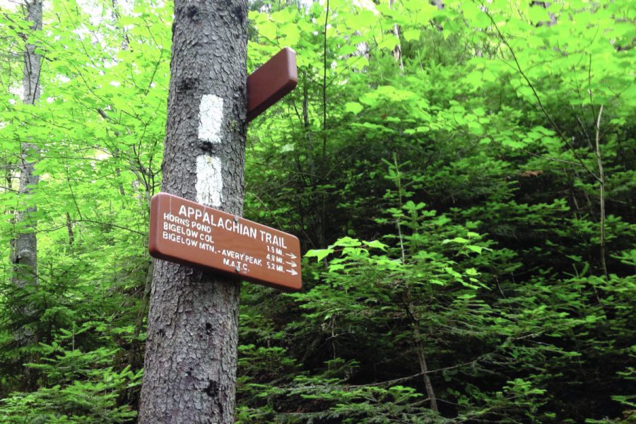 Photo: Appalachian Trail Conservancy 

https://appalachiantrail.org/explore/plan-and-prepare/hiking-basics/