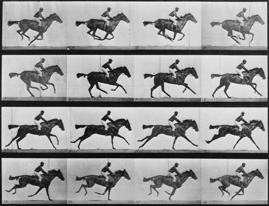 Photo Courtesy of the Library of Congress